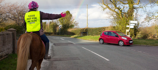 Enhancing Equine Road Safety