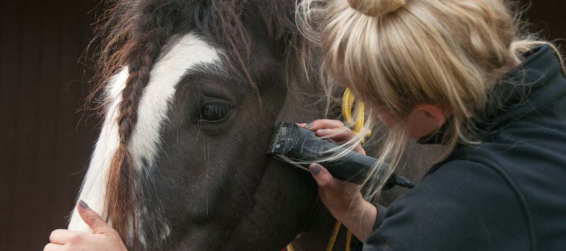 Horse Clipping Patterns: Look How Creative They Can Be