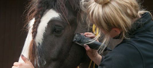 Horse Clipping Patterns: Look How Creative They Can Be