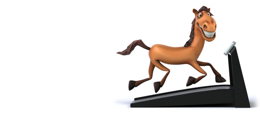 Treadmills For Horses A Good Idea