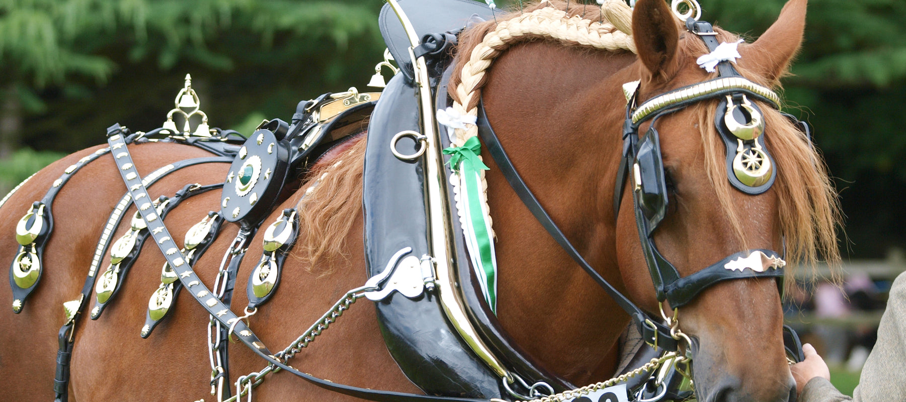 What Are Horse Brasses?