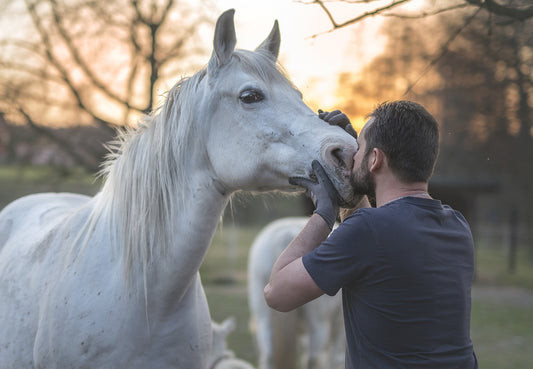 The Complete Guide To Horse Healthcare