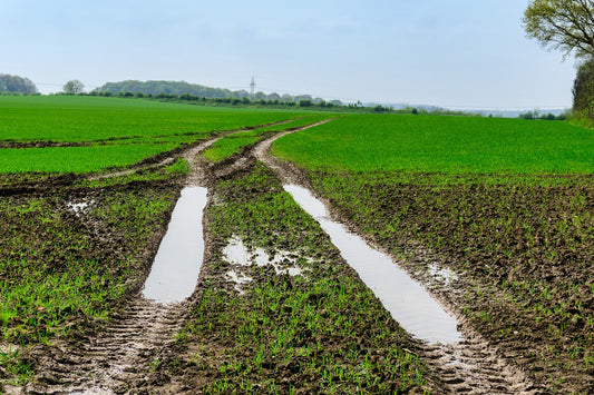 Spotting Treating Preventing Mud Fever