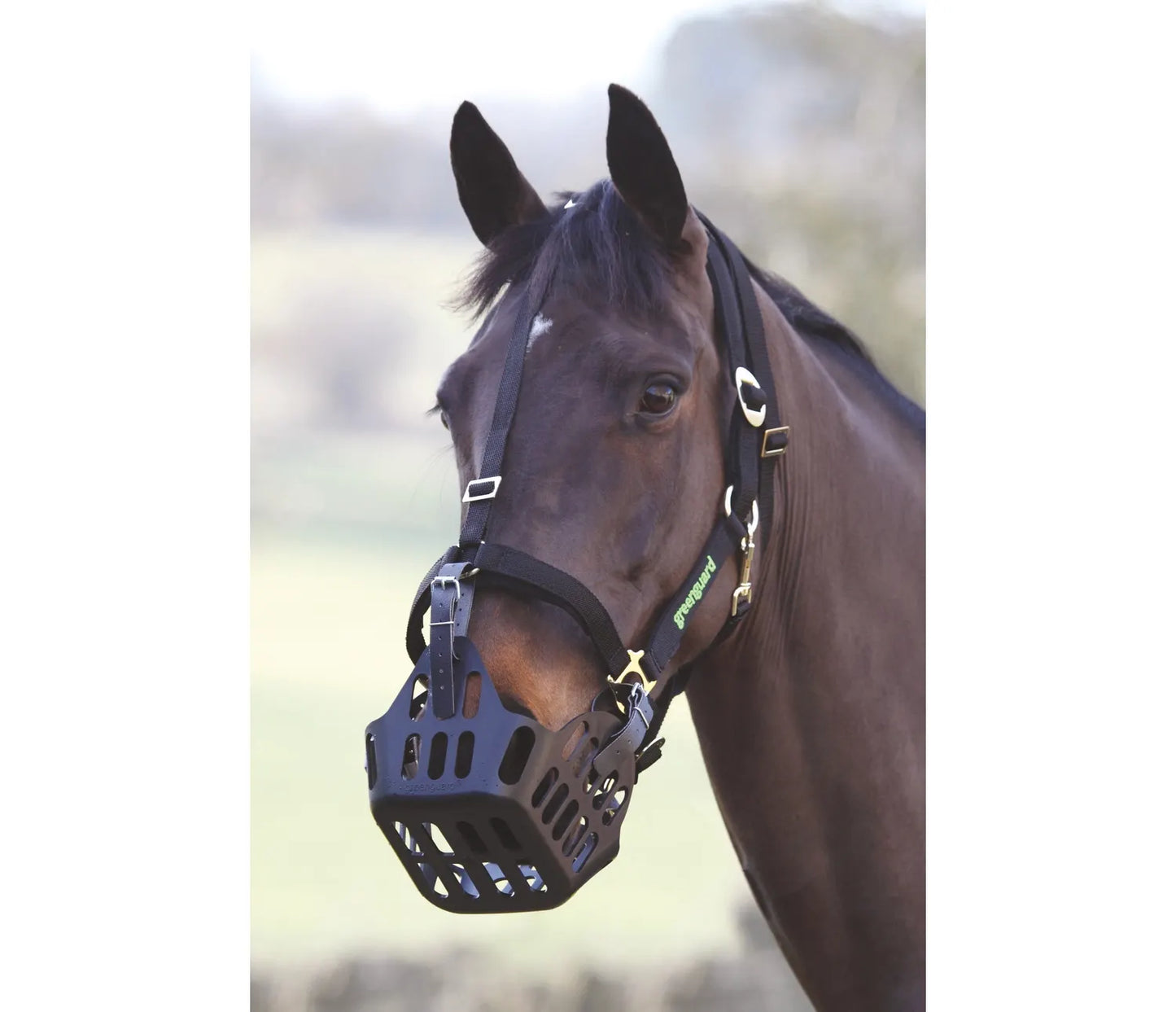 Shires Greenguard Spare Strap
