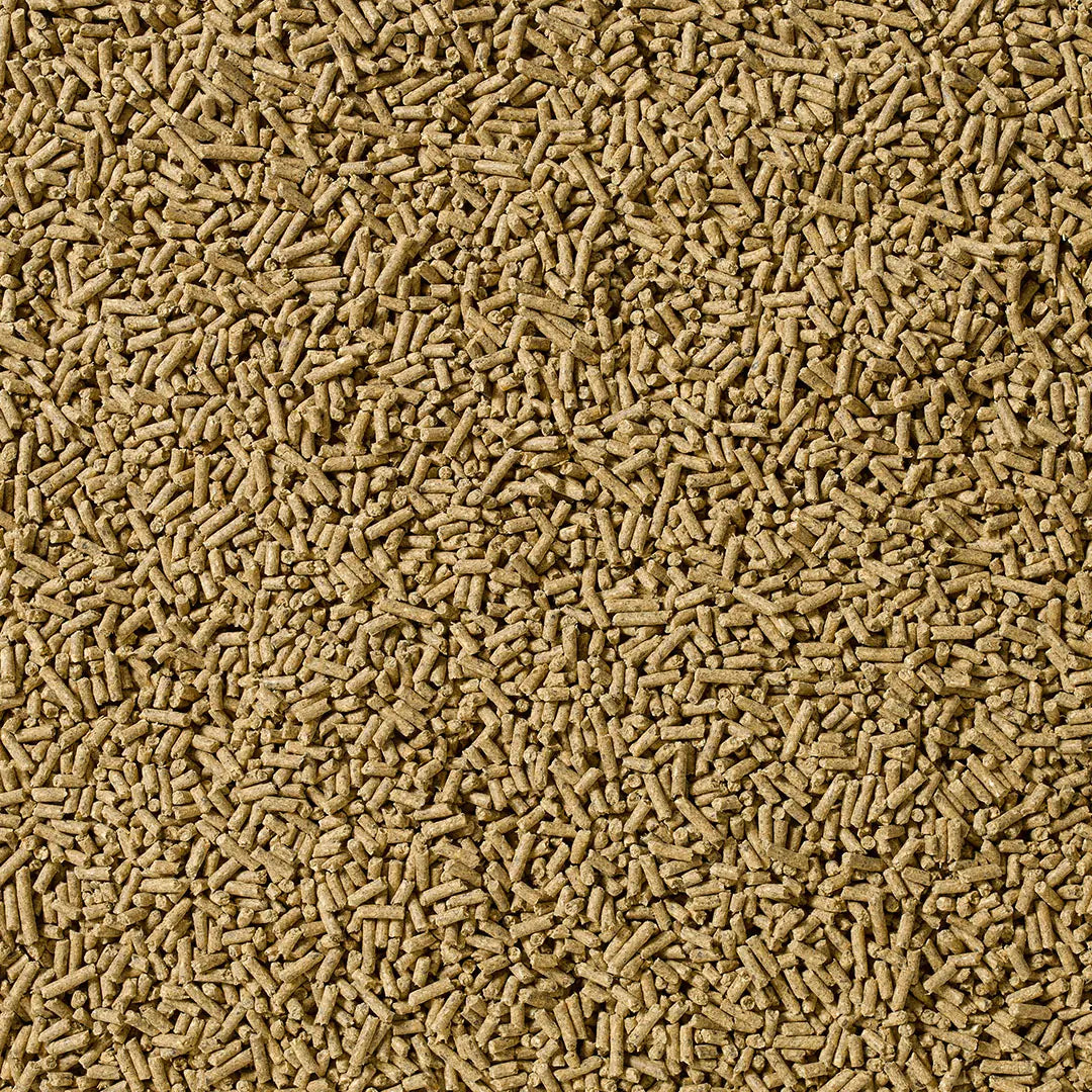 Saracen Essential Balancer 20kg