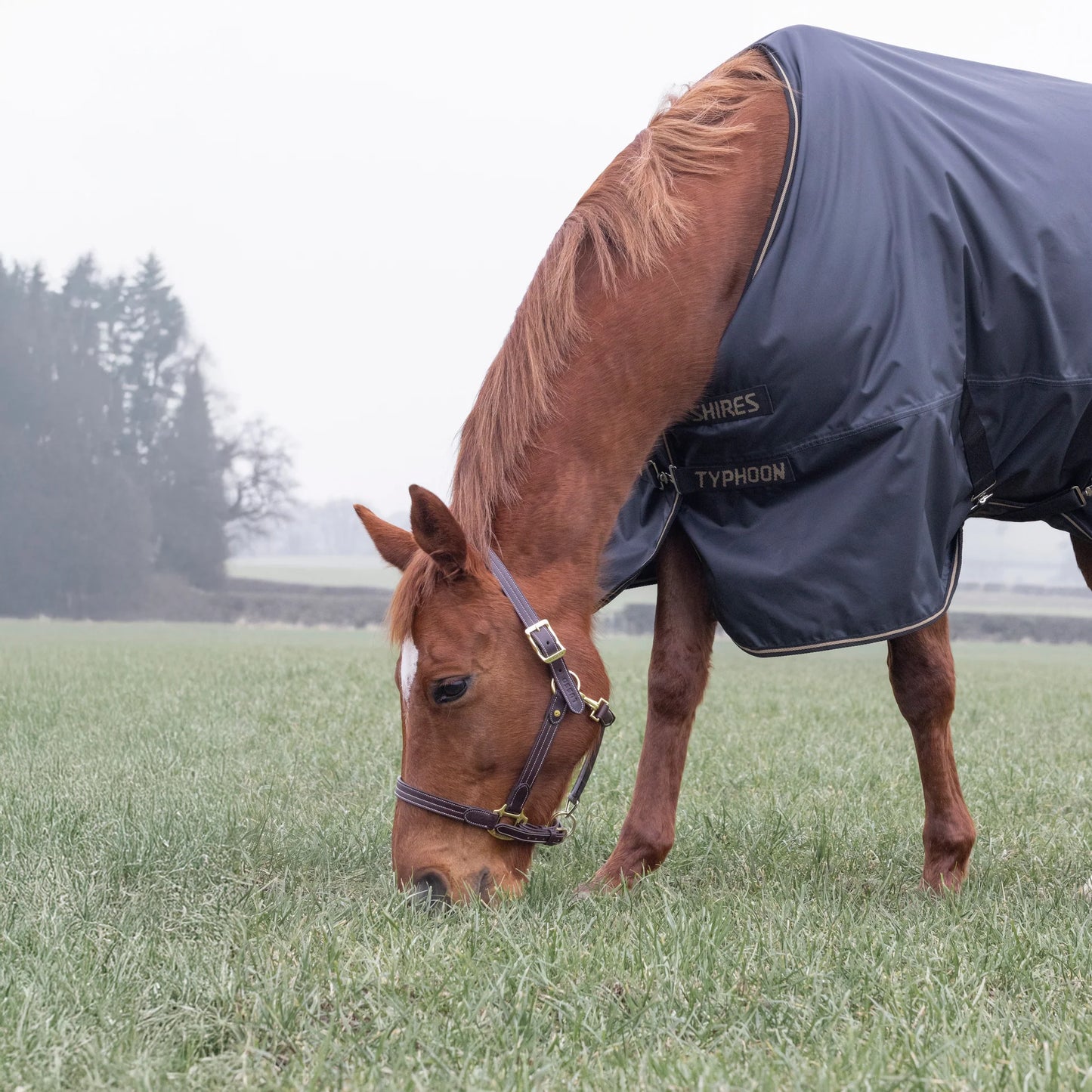 Shires Typhoon 50g Turnout Rug Black