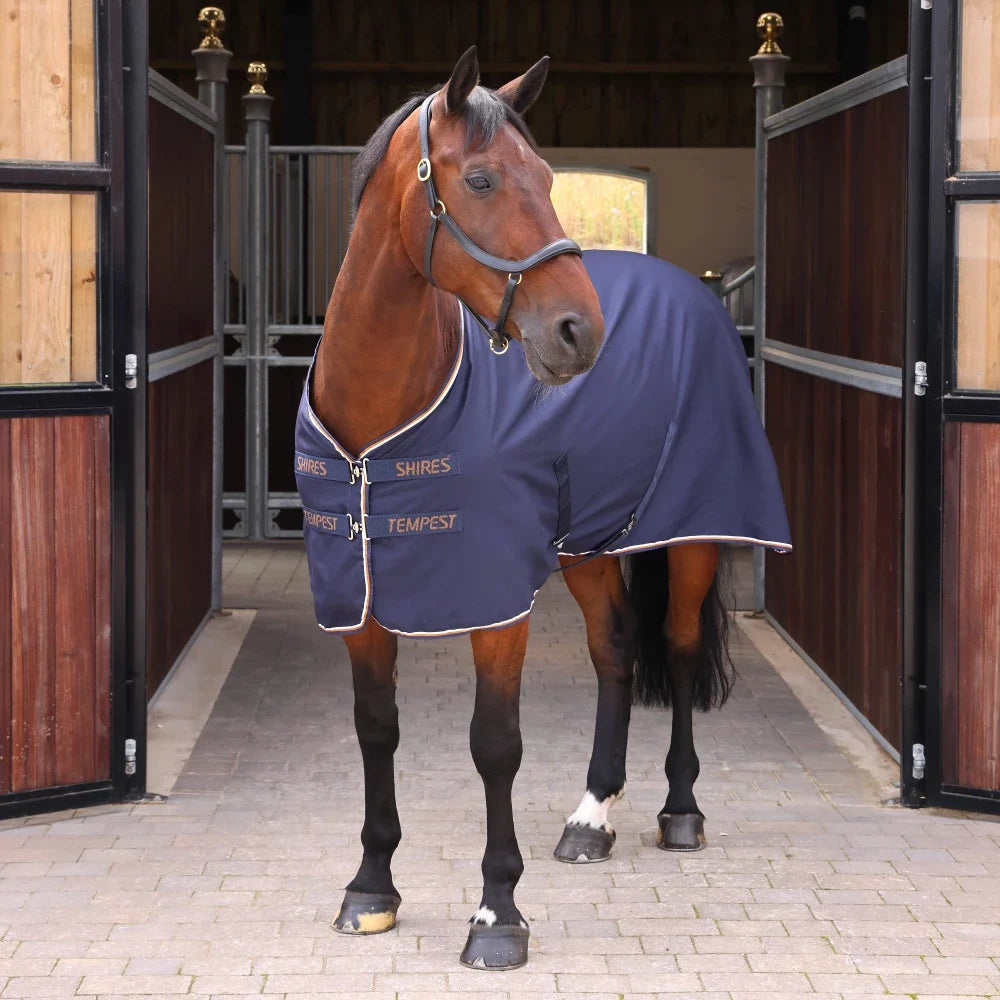 Shires Tempest Original Stable Sheet Ink