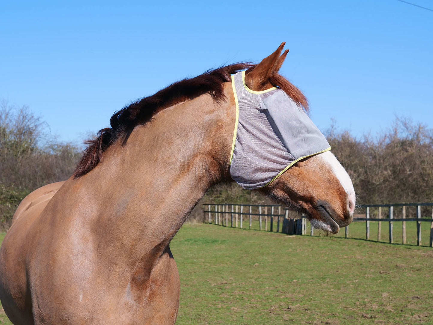Equilibrium Field Relief Midi Fly Mask without Ears Grey/Yellow