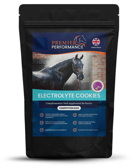 Premier Performance Electrolyte Cookies - Pack of 10