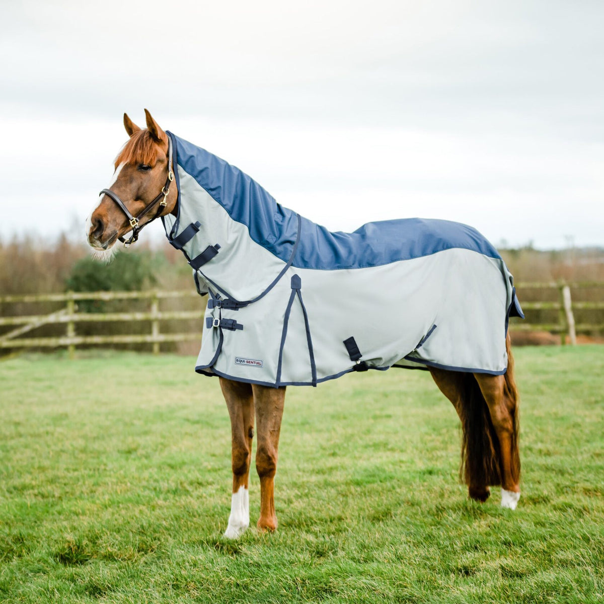 Mackey Equisential Waterproof Fly Rug Navy/Silver