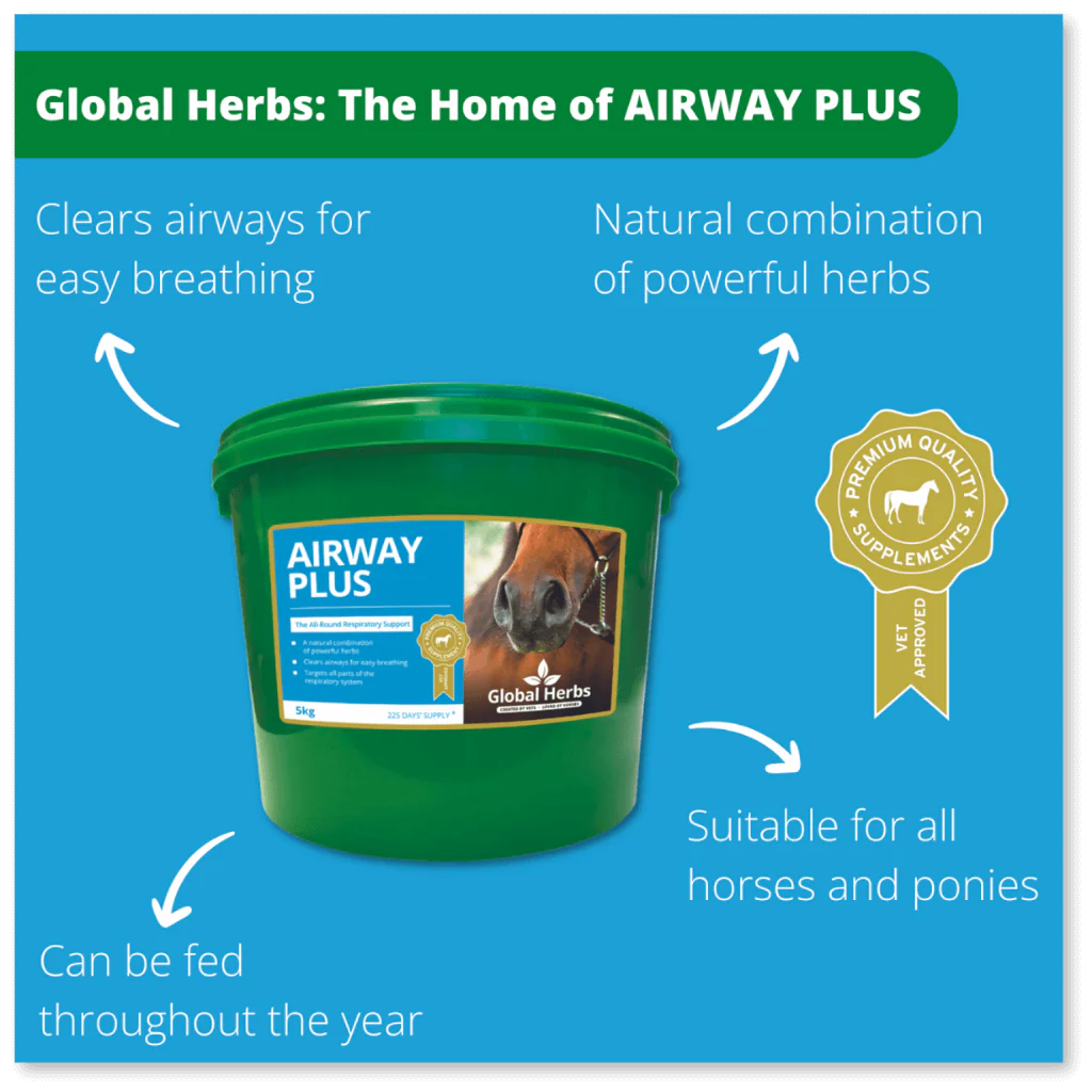 Global Herbs Airway Plus Powder 1kg