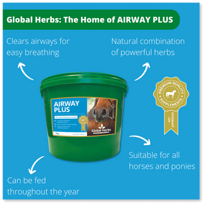 Global Herbs Airway Plus Powder