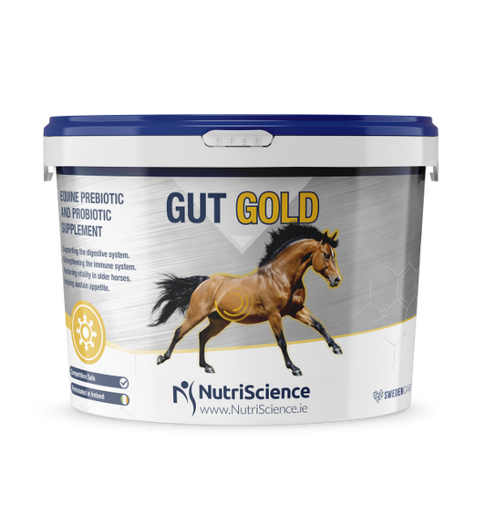 NutriScience Gut Gold Digestive Supplement