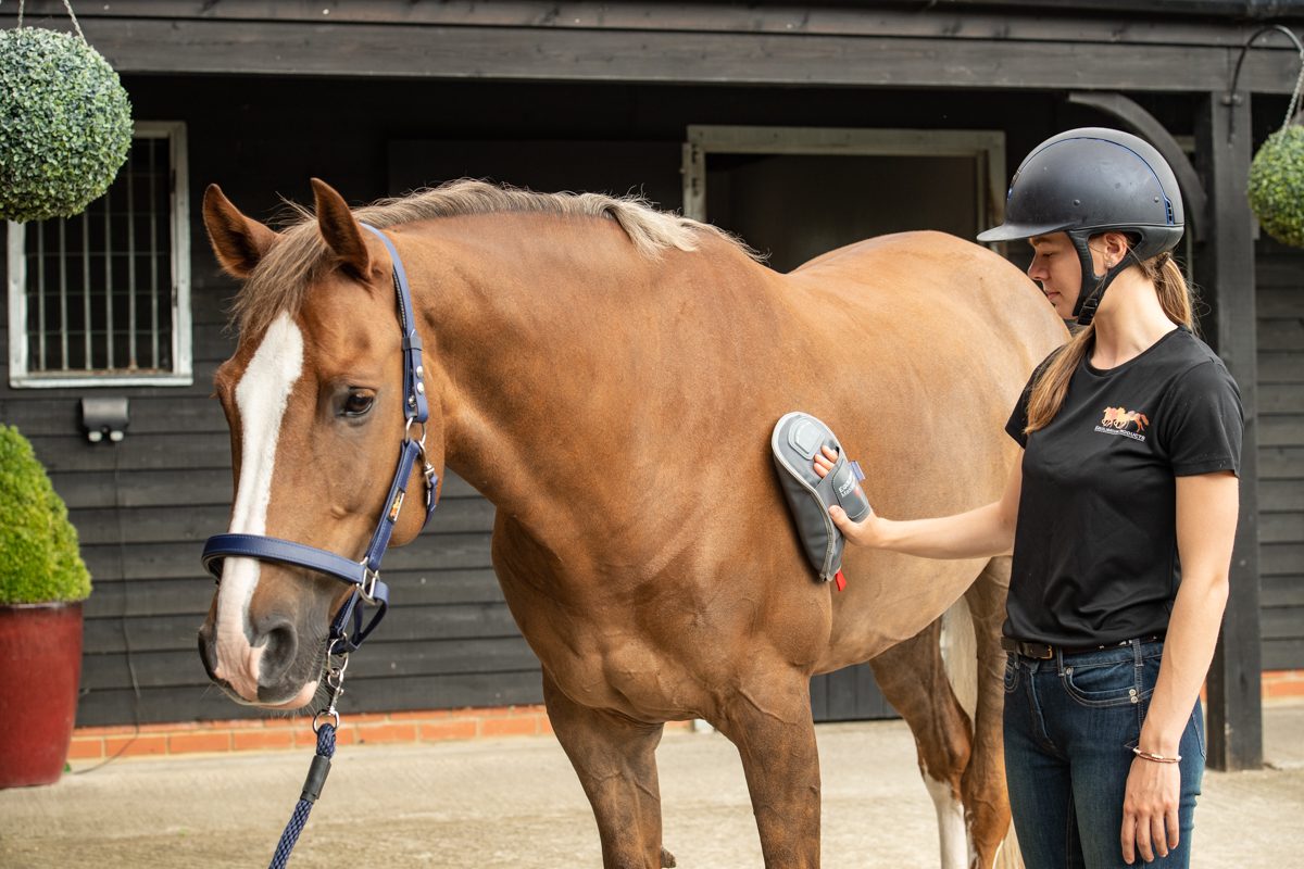 Equilibrium Massage Mitt Hotspot