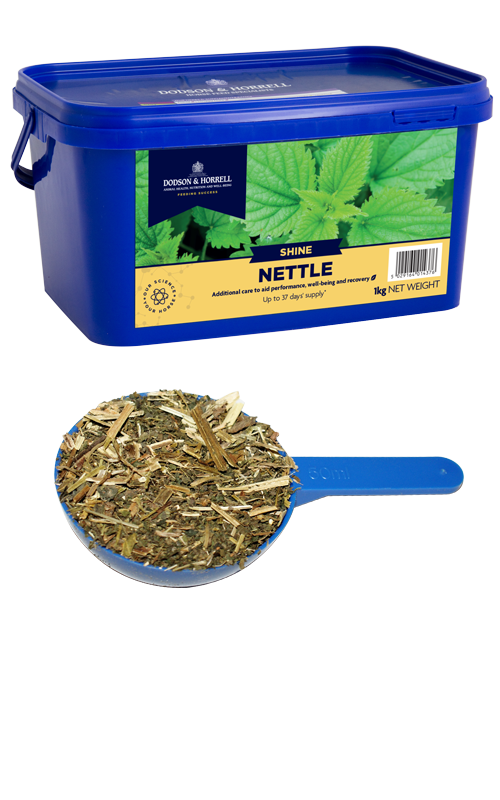 Dodson & Horrell Nettle