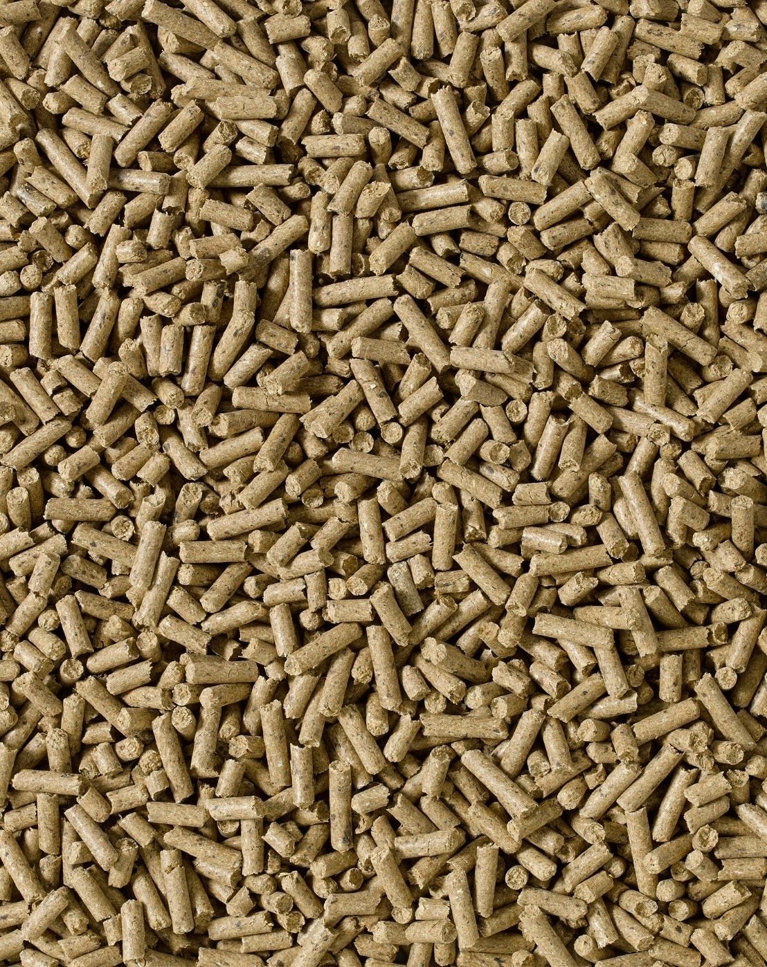 Saracen Condition Improver Cubes 20kg