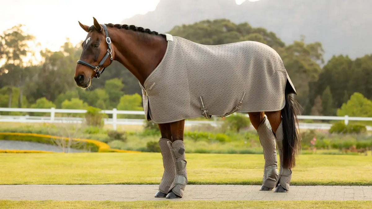 LeMieux Kudos 3D Mesh Travel Rug view 3