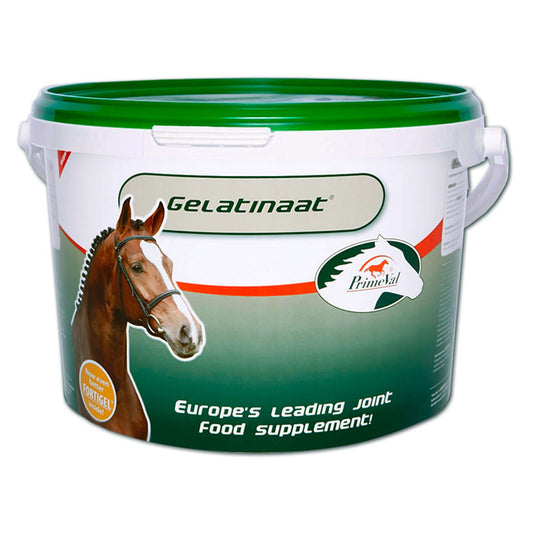 PrimeVal Gelatinaat for Horses