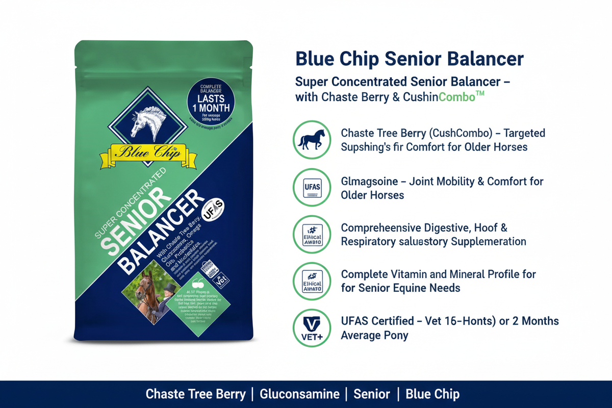 Blue Chip Senior Balancer Infographic