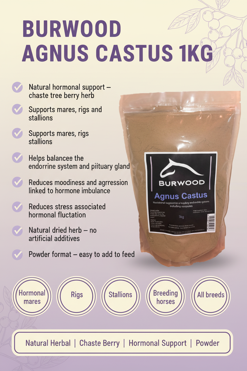 Burwood Agnus Castus Infographic