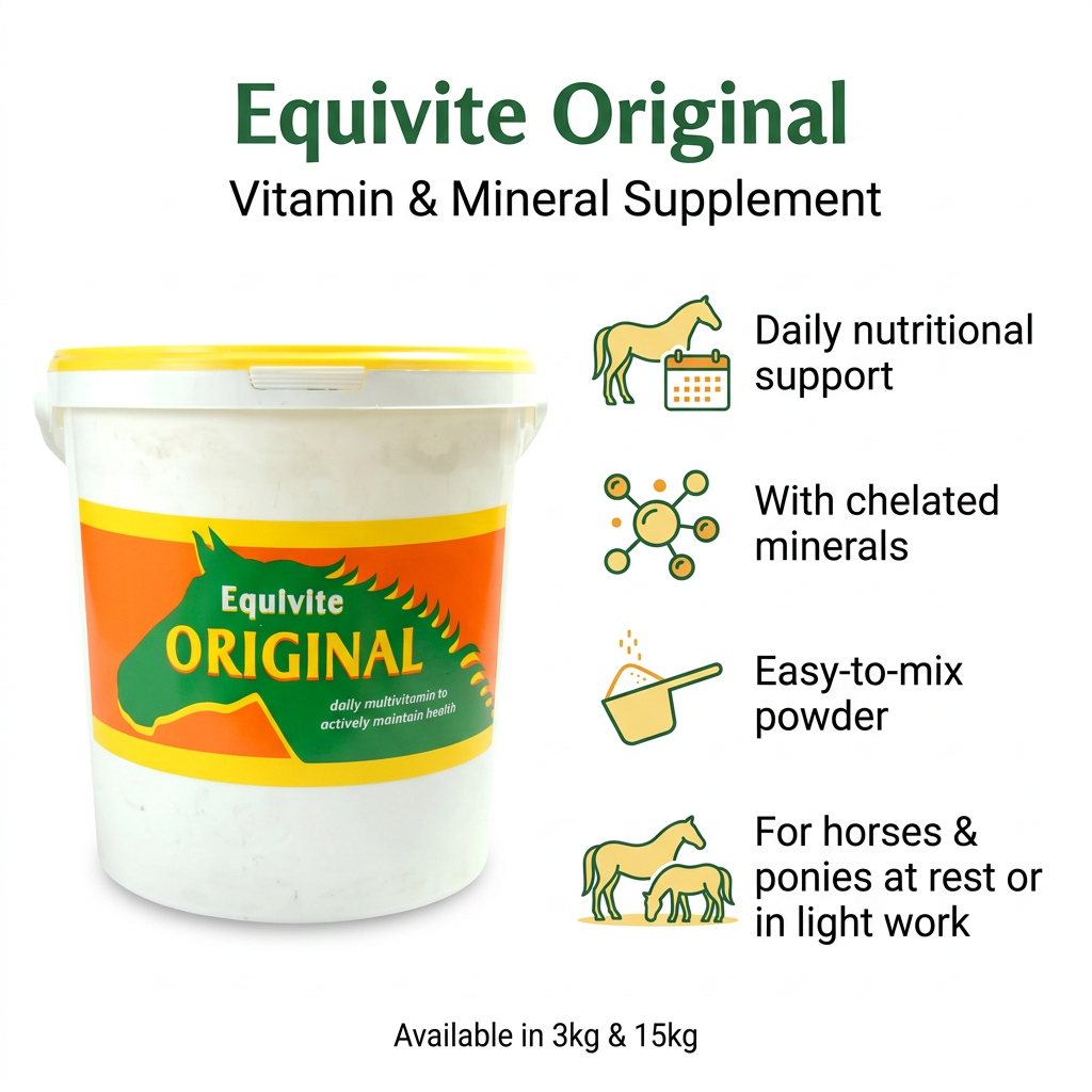 Equivite Original product benefits infographic