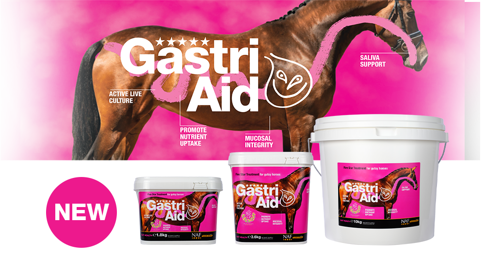 NAF Five Star Gastri Aid