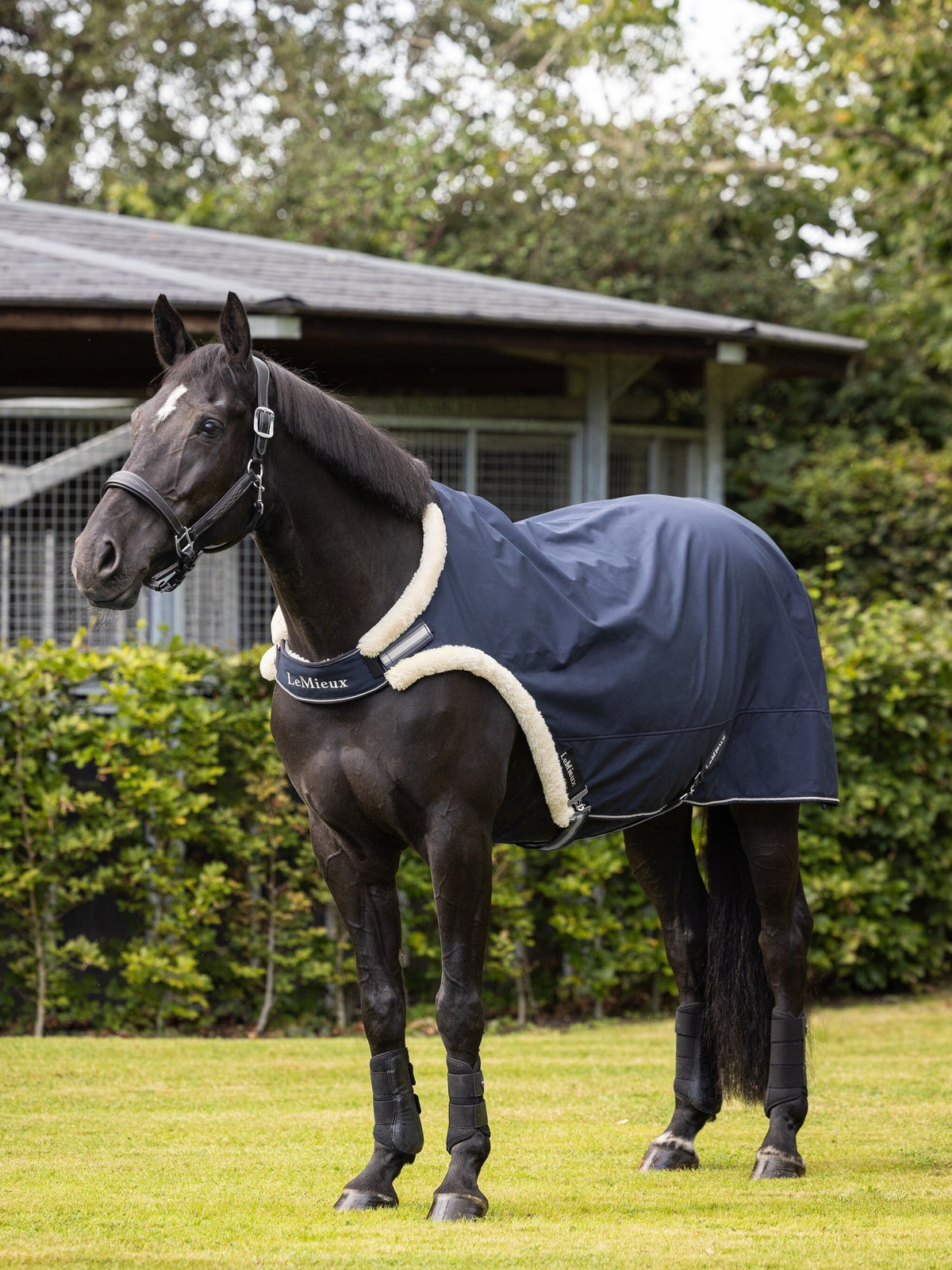LeMieux Walker Rug Navy