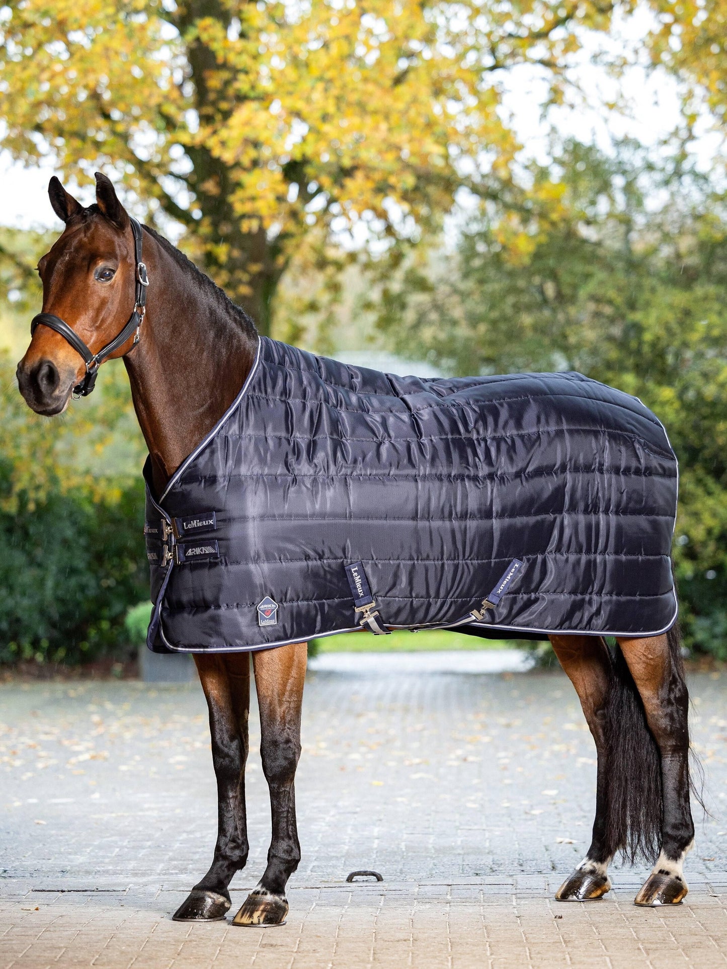 LeMieux Arika Stable-Tek 100g Navy