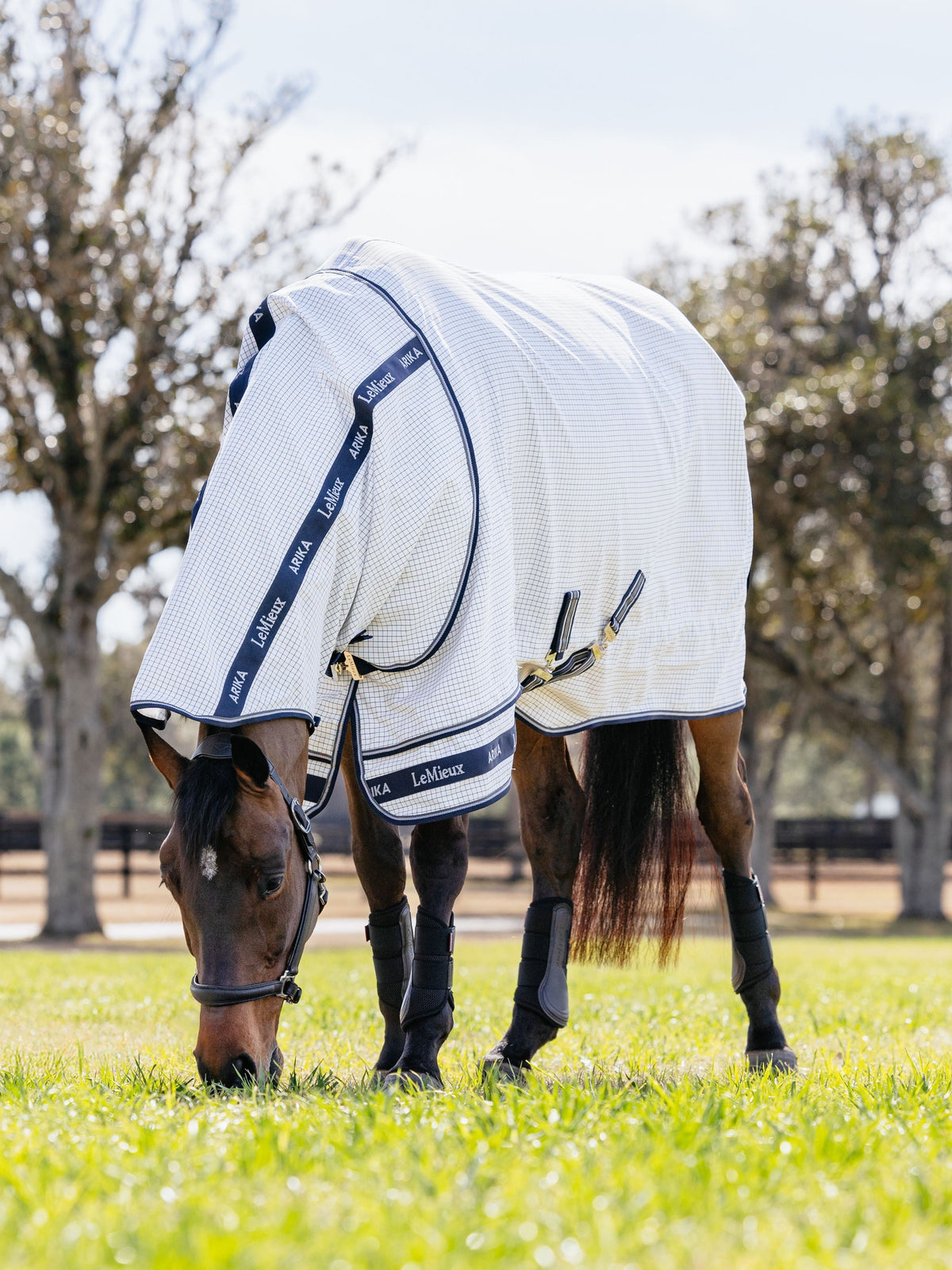 LeMieux Arika Field Rug White