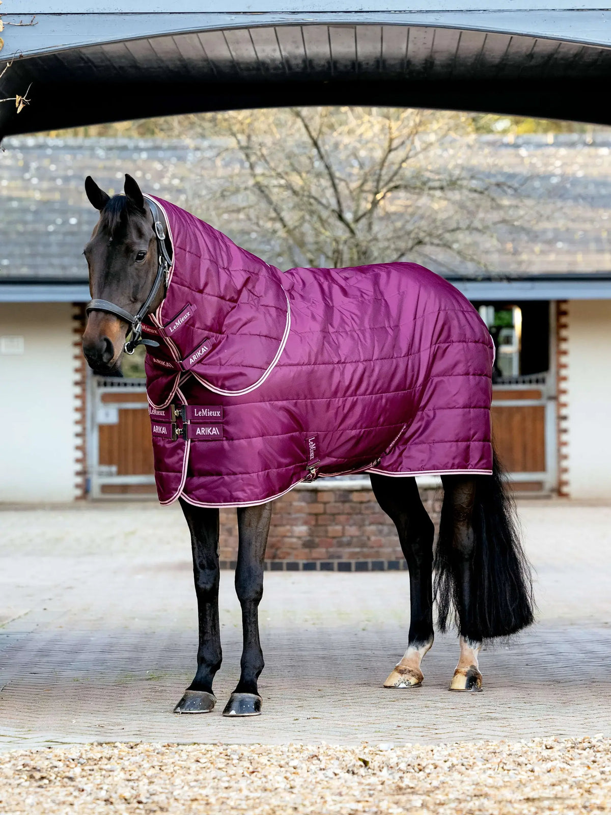 LeMieux Arika Stable-Tek Rug with Neck 200g Blackberry view 2