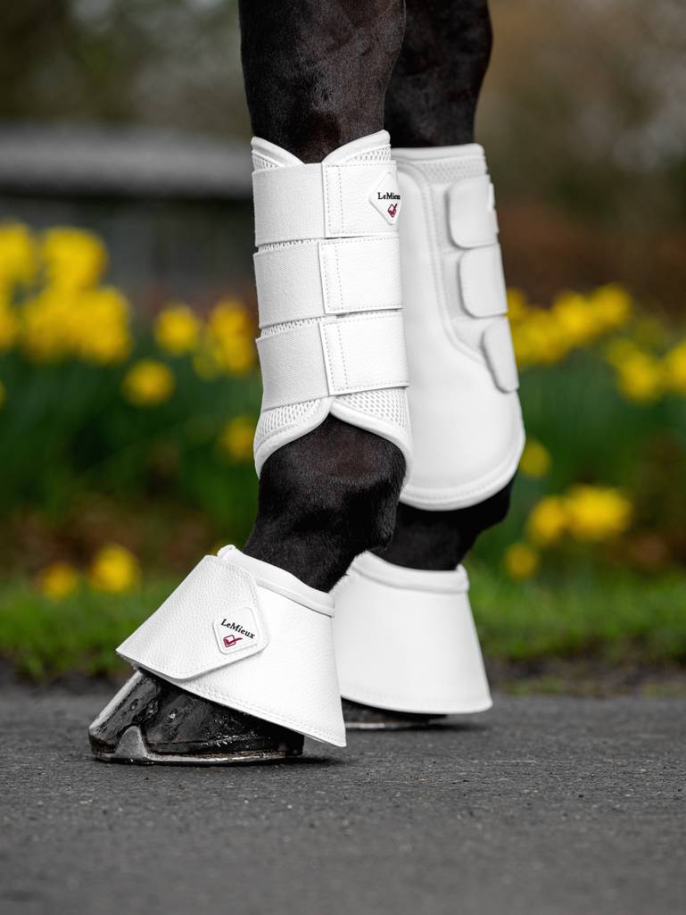 LeMieux Mesh Brushing Boots