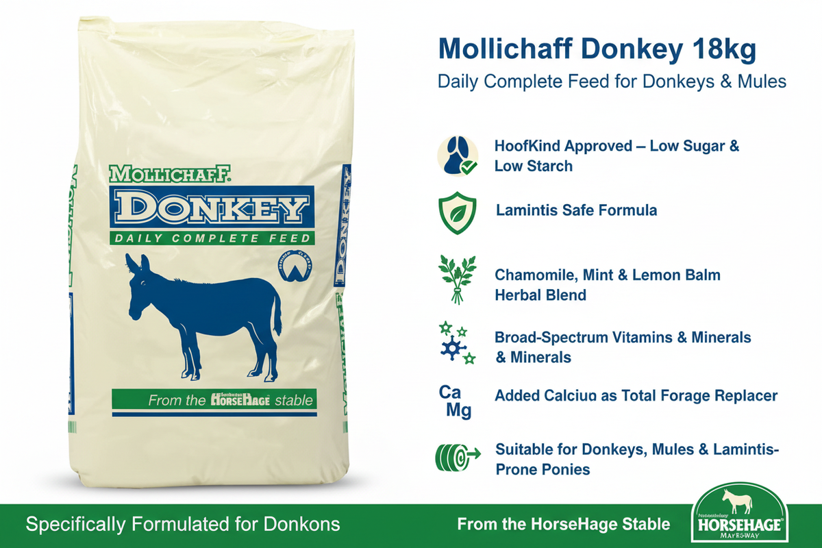 Mollichaff Donkey Infographic