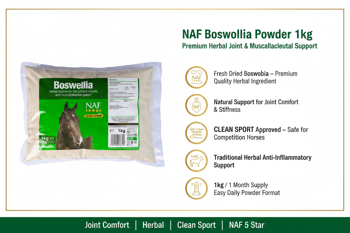 NAF Boswellia Powder Infographic