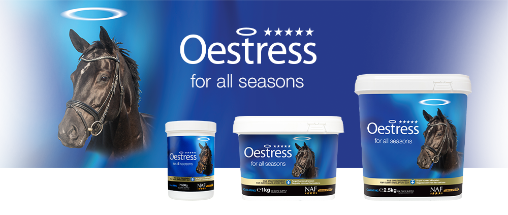 NAF Five Star Oestress Powder for Horses