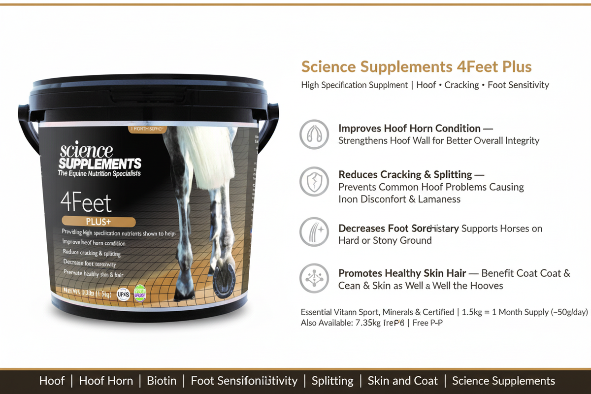 Science Supplements 4Feet Plus Infographic