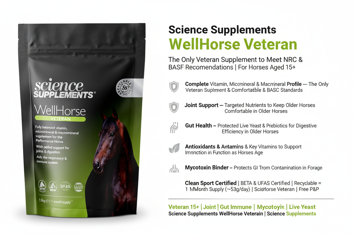 Science Supplements WellHorse Veteran Infographic