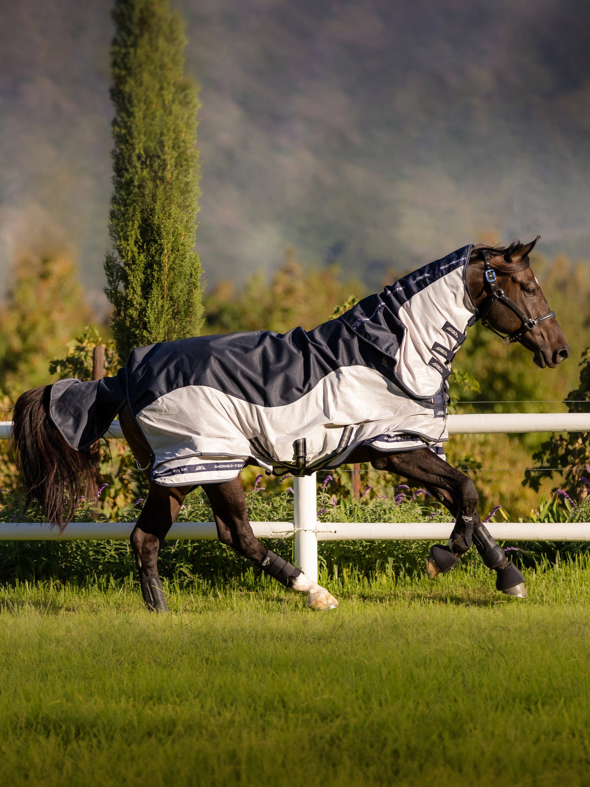 LeMieux Arika Shower-Tek Fly Rug White/Navy view 2