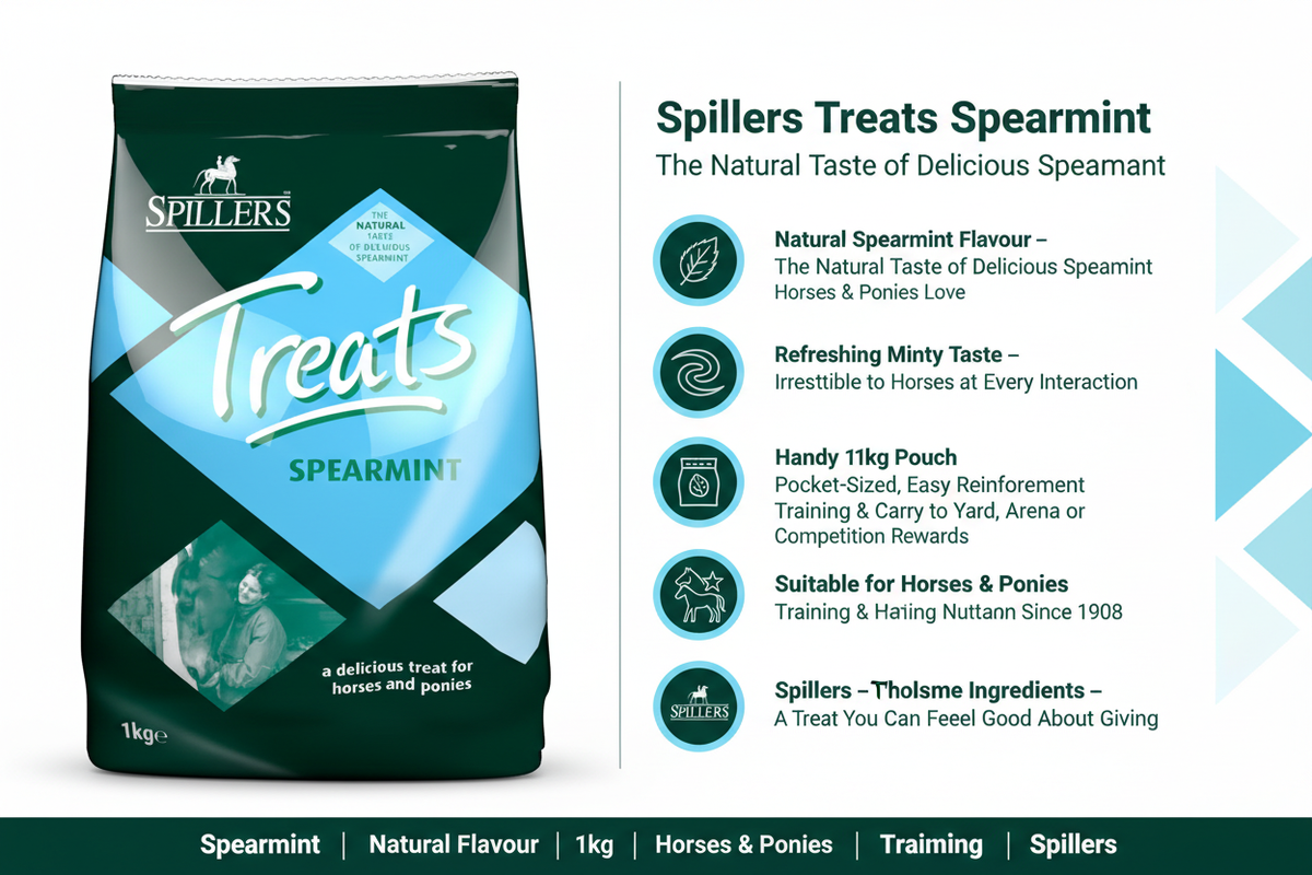 Spillers Treats Spearmint Infographic