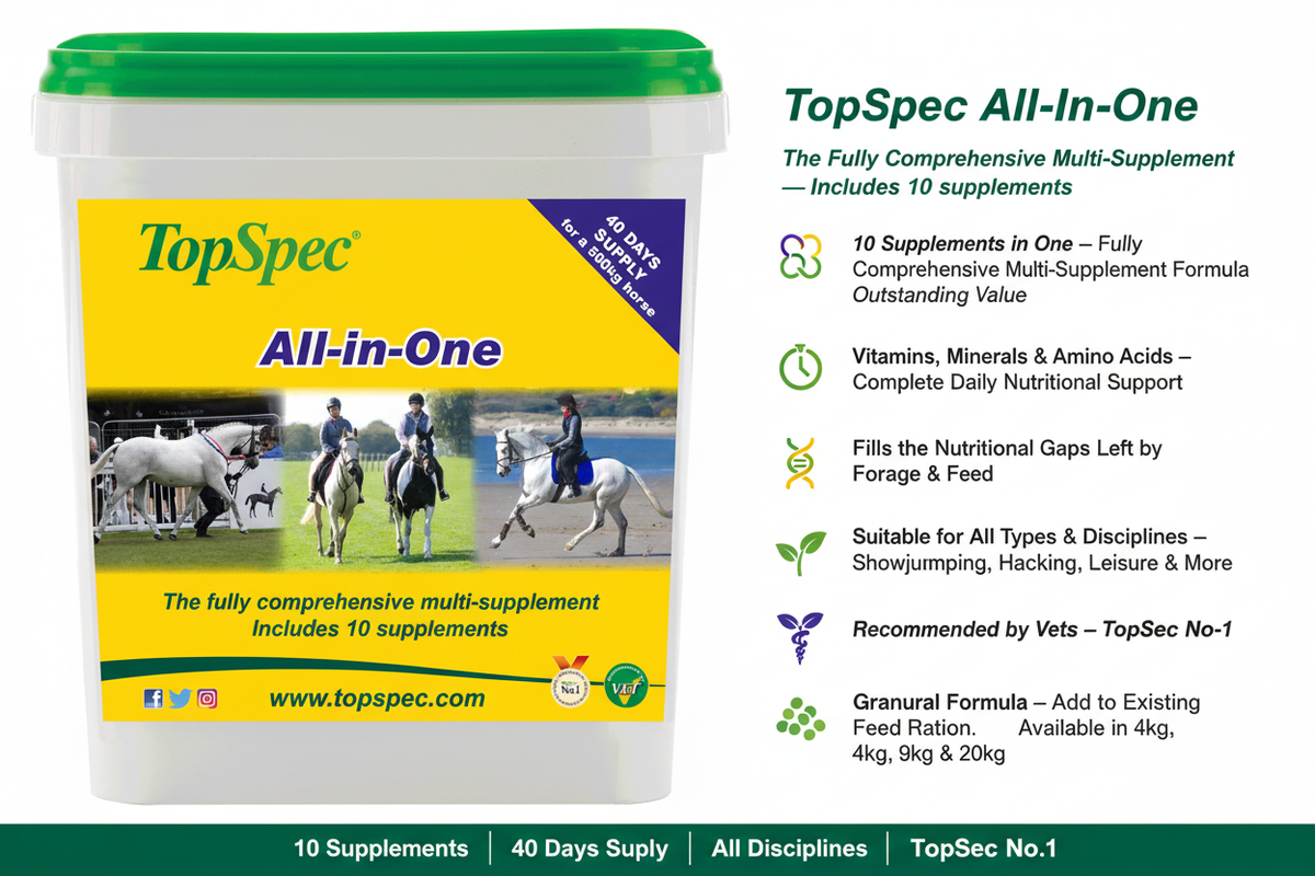 TopSpec All-In-One Infographic