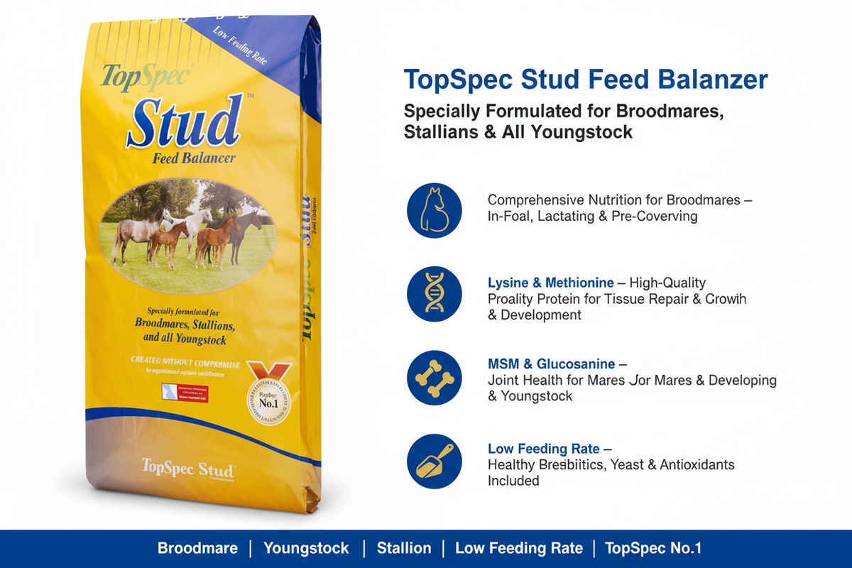 TopSpec Stud Feed Balancer Infographic