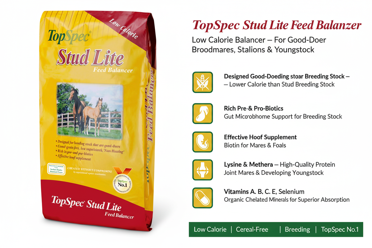 TopSpec Stud Lite Feed Balancer Infographic