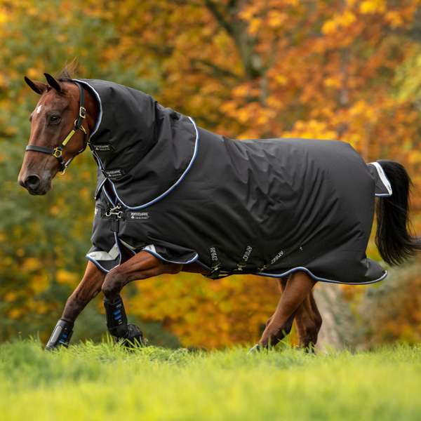 Horseware Amigo Bravo 12 Plus Turnout Rug Medium 250G Black/Blue