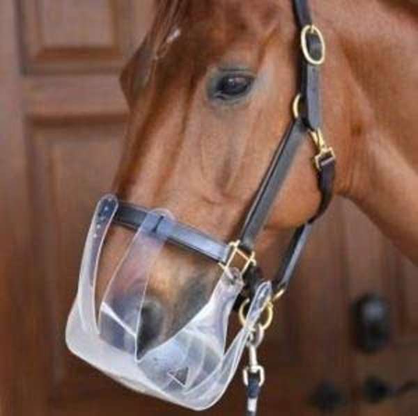 Thinline Flexible Grazing Muzzle Clear