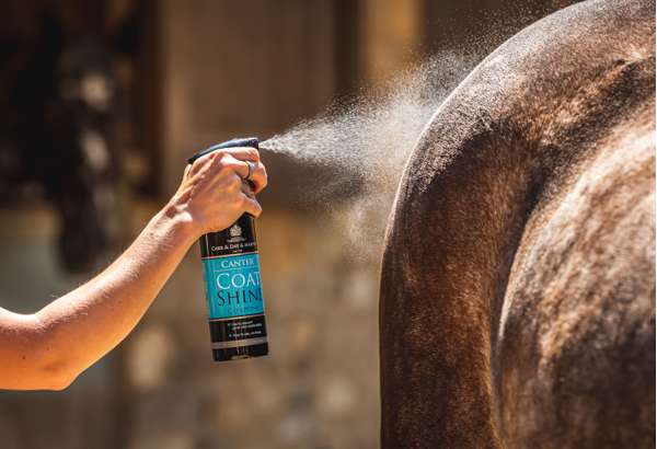 Carr & Day & Martin Canter Coat Shine Conditioner Spray 500ml