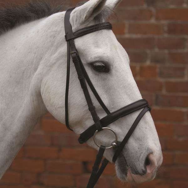 Hy Equestrian Padded Flash Bridle With Rubber Grip Reins
