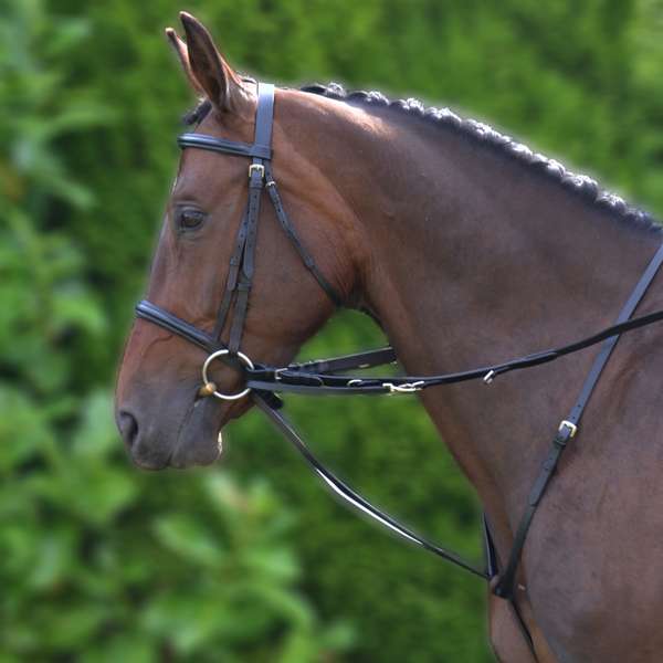 Hy Equestrian Market Harborough