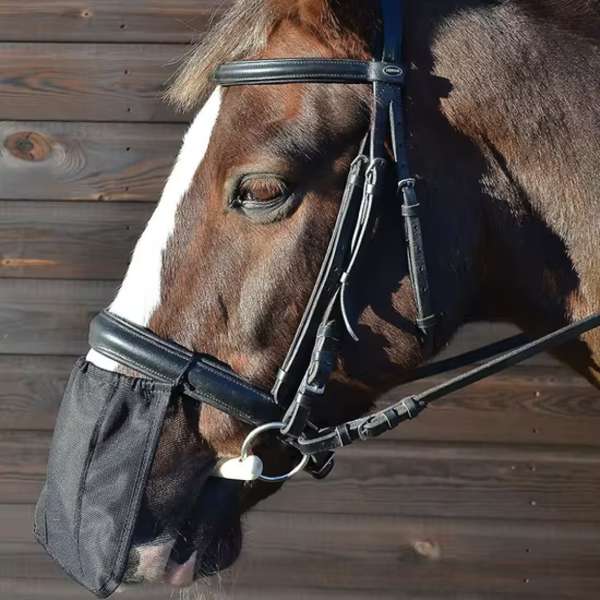 Hy Equestrian Nose Shield