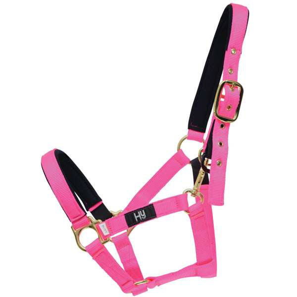 Hy Equestrian Fieldsafe Head Collar