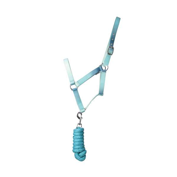 Hy Equestrian Ombre Head Collar & Lead Rope