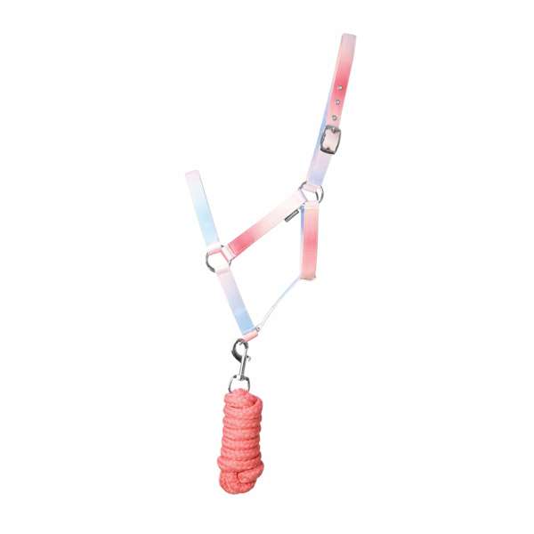 Hy Equestrian Ombre Head Collar & Lead Rope